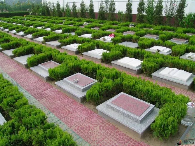 梦到爬墓地_2