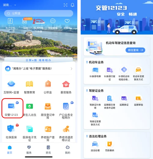 怎么查别人驾驶证_2