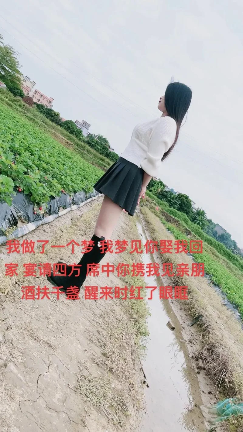 梦见爱人回来了_1