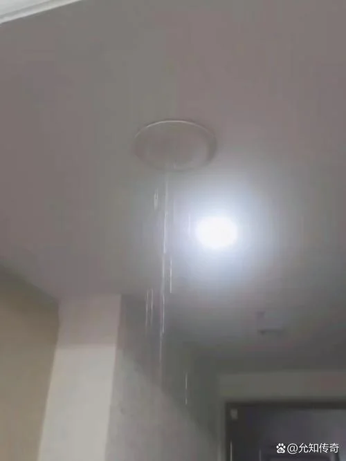 梦见楼上跑水把我家壁纸都泡了水_1