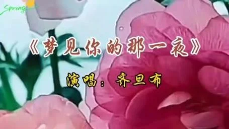梦见你的那一夜背面版-梦回你夜背面版