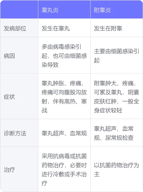 什么是附睾炎新生儿_2