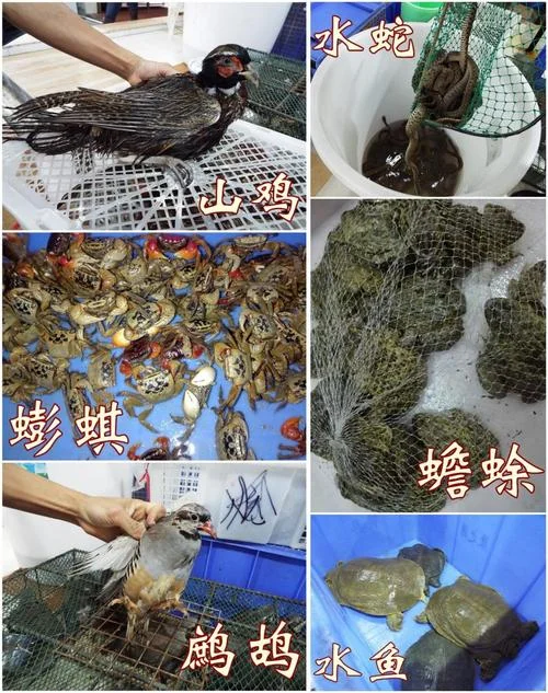 梦见死去的人送笋来-梦见逝者送笋