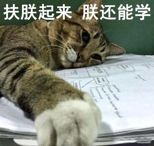 九彩升华齐做梦表情包_1