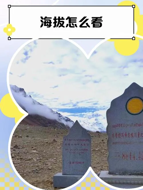 如何查海拔_1