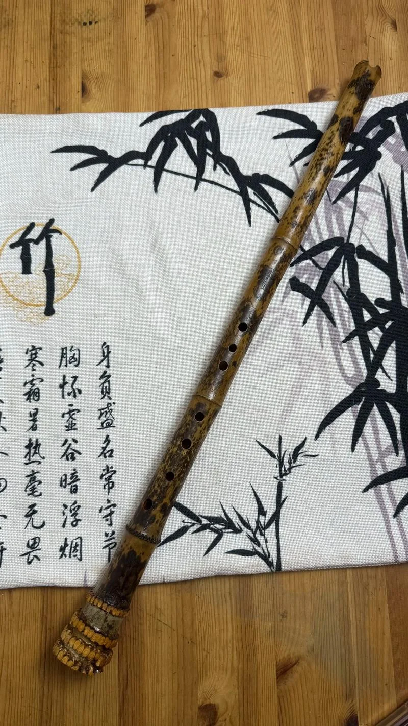 笙箫出处_1