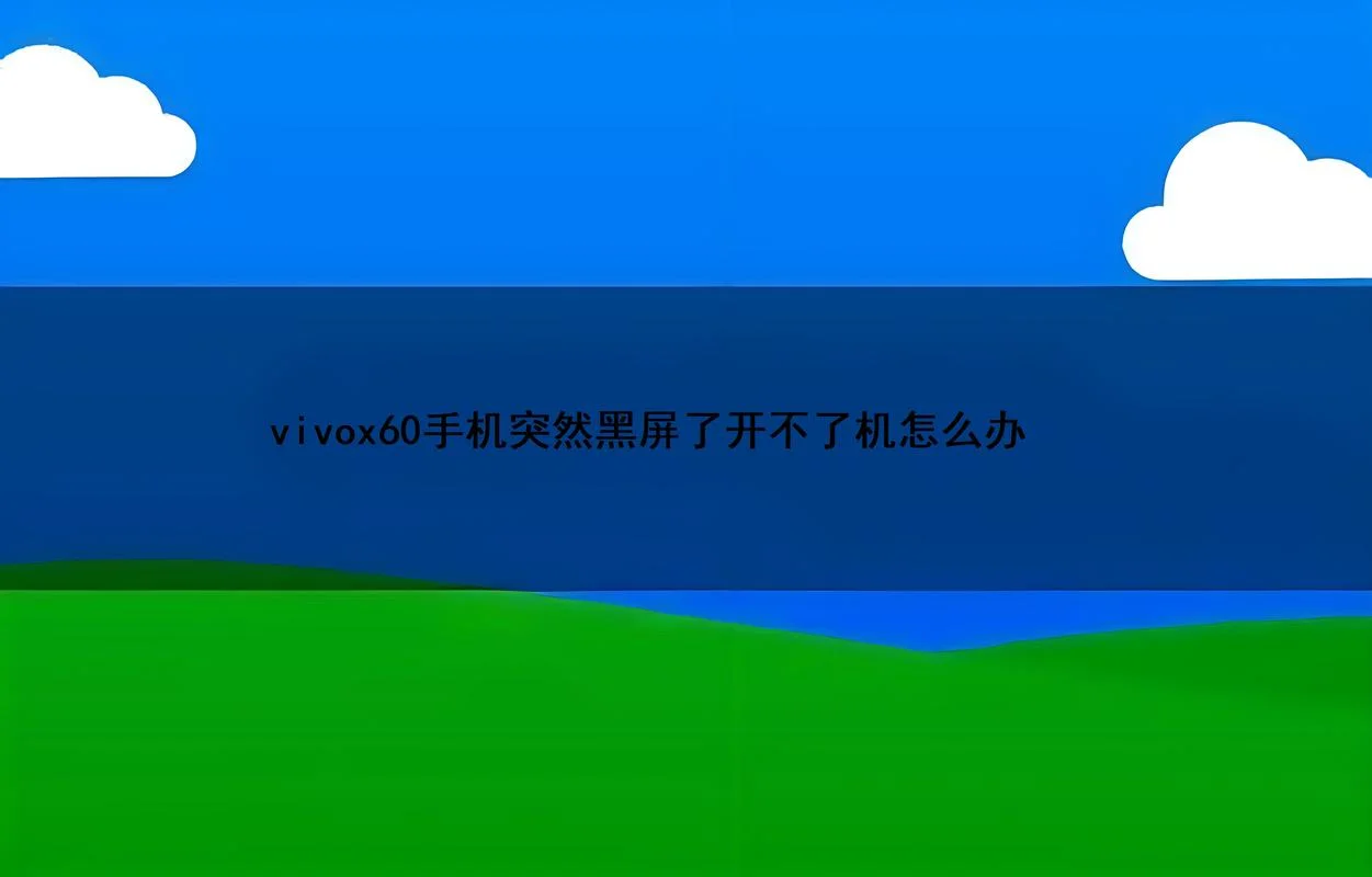 步步高手机开不开机怎么办_1