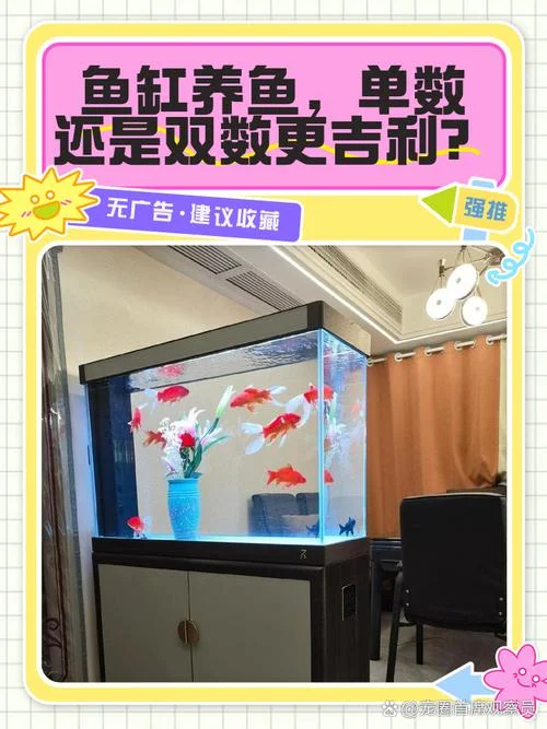 梦到鱼缸里有鱼和水预示着什么-