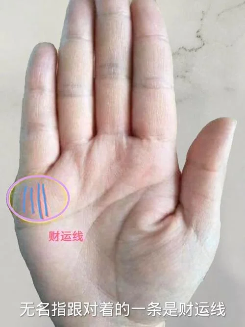 看手相有没有横财_1