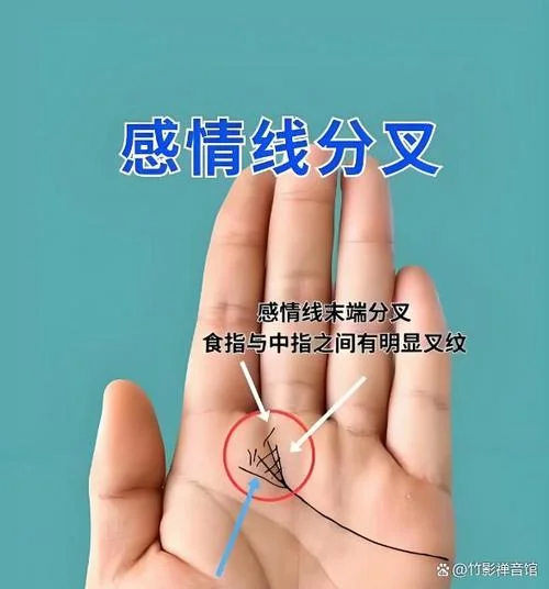创作奇才手相_1