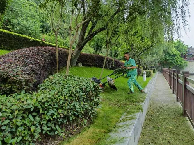 绿化养护工程项目_1