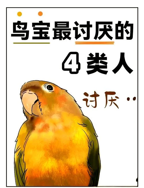 鹦鹉前头不敢言出处_1
