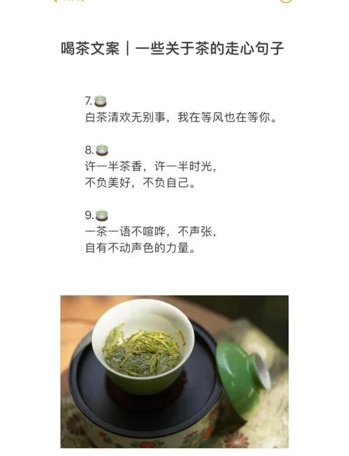 独自一人喝茶感悟_2
