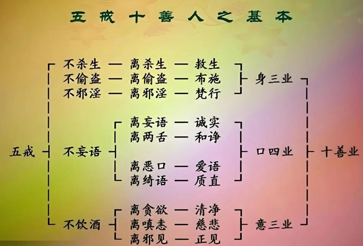五爱是指什么_2