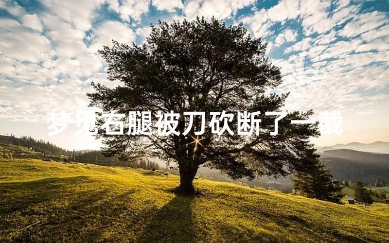 梦见腿断了_1