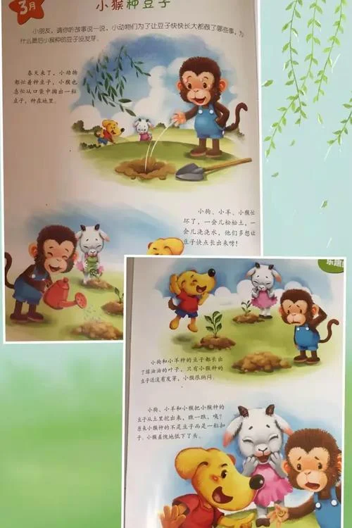 小猴子种豆子的道理_1