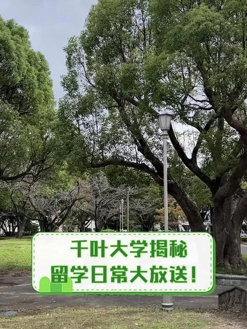 千叶大学留学-千叶大学留学