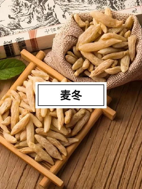 什么是麦冬_2
