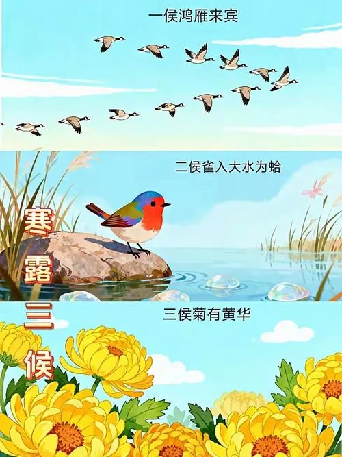 2019年寒露是几月几号_1