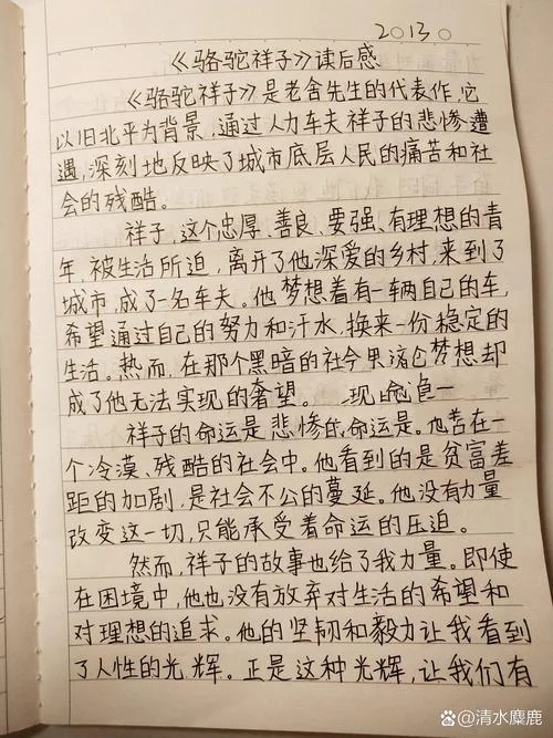骆驼祥子读后感六百字以上-骆驼祥子读后感六百字