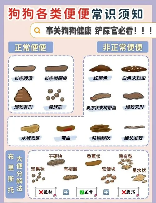 梦见狗狗拉屎预兆_1