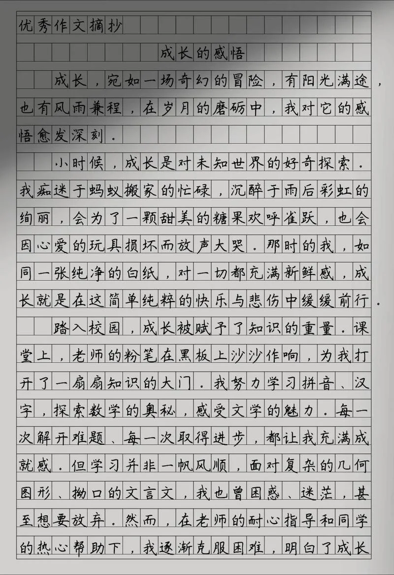 关于人生感悟的作文800字-人生感悟作文