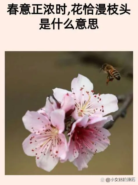 满是什么意思_2