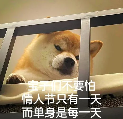 单身狗聊天文案_1
