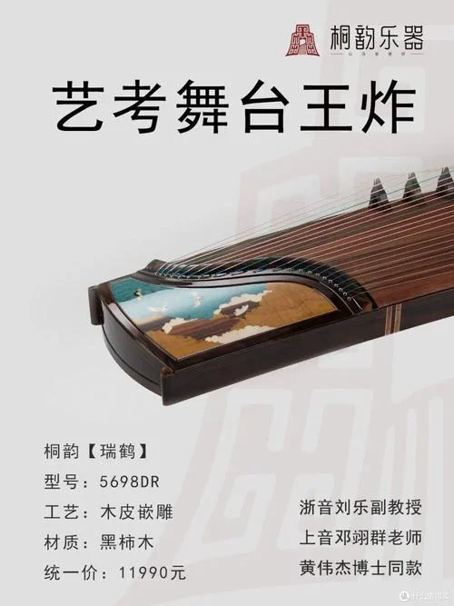艺考可以考的乐器_2