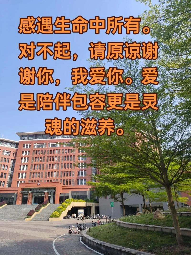 谢谢,对不起真诚感悟_1