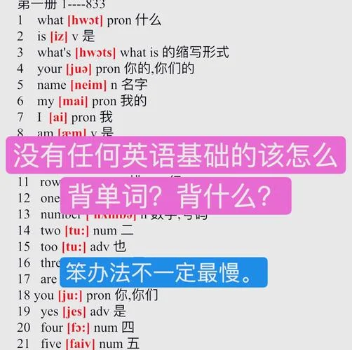初学者学英语怎么学-初学者学英文指南