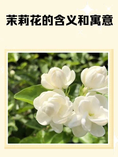 一路花香的道理是什么_1