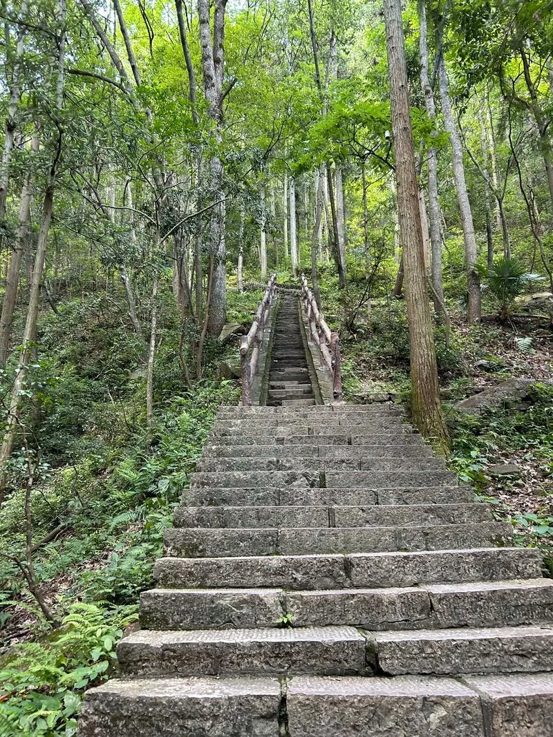 荡胸生层云下一句_1