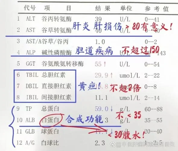 公务员肝功能检查项目_1
