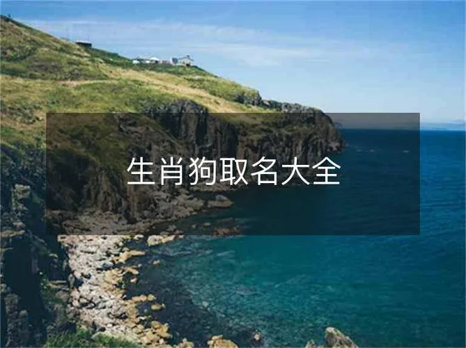 狗年出生男宝起名字_1