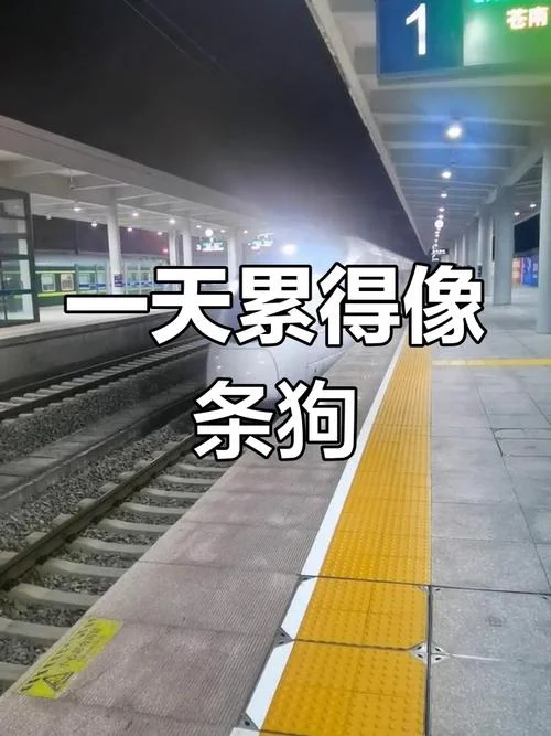 累得跟狗似的文案_1
