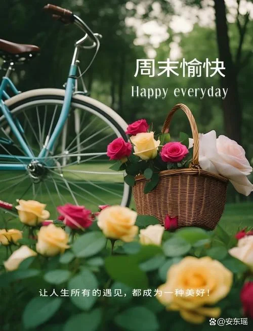 这个星期日有空吗下一句_1