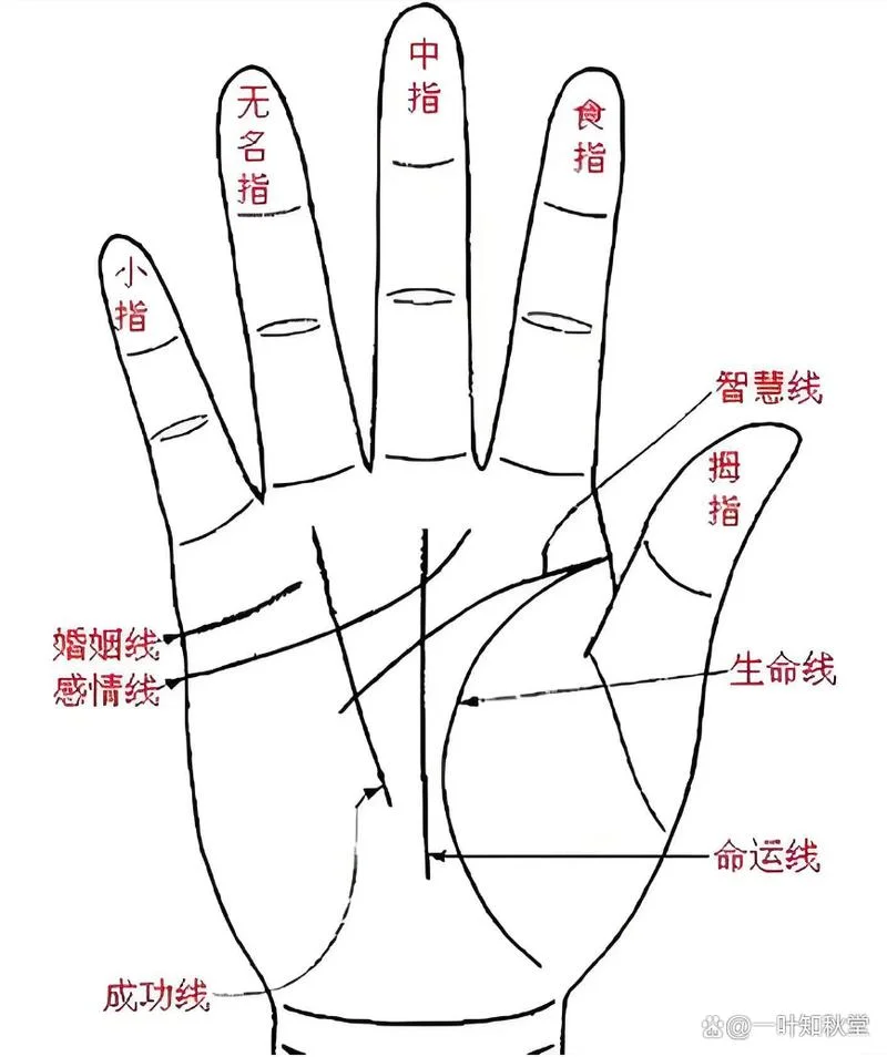 面相准还是手相准_2