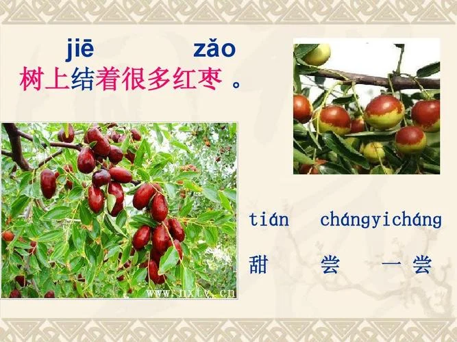 留学的留字拼音是什么-留学的留拼音是liú
