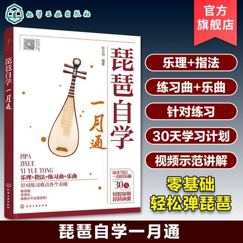 琵琶自学 怎么学-琵琶自学如何学