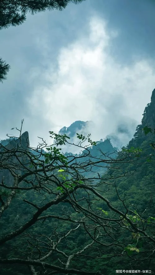 去黄山旅游三日游_2