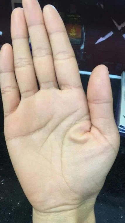 手相断掌纹图片_2