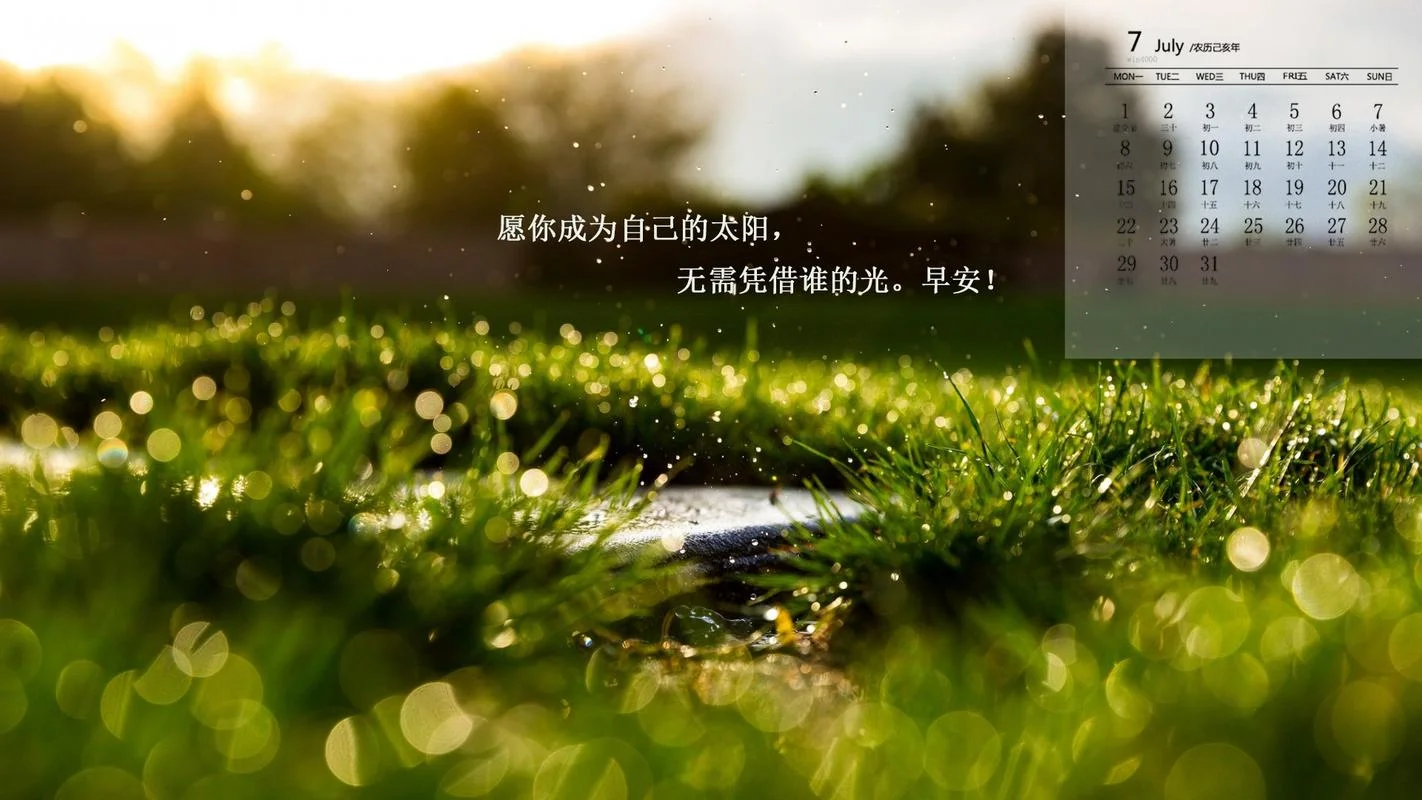 壁纸品牌十大排名2019_2