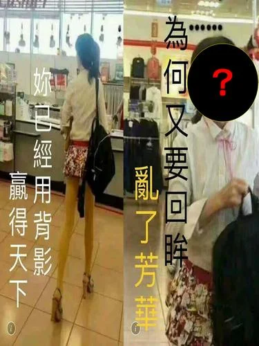 何必转身乱芳华上一句_2