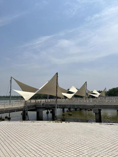 东营有什么景点_1