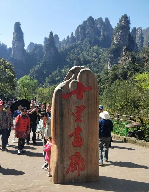 合肥到张家界多少公里_1