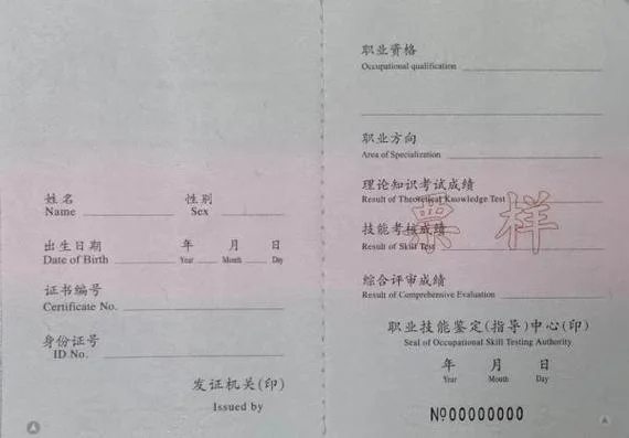 高级工证书查询网站_2