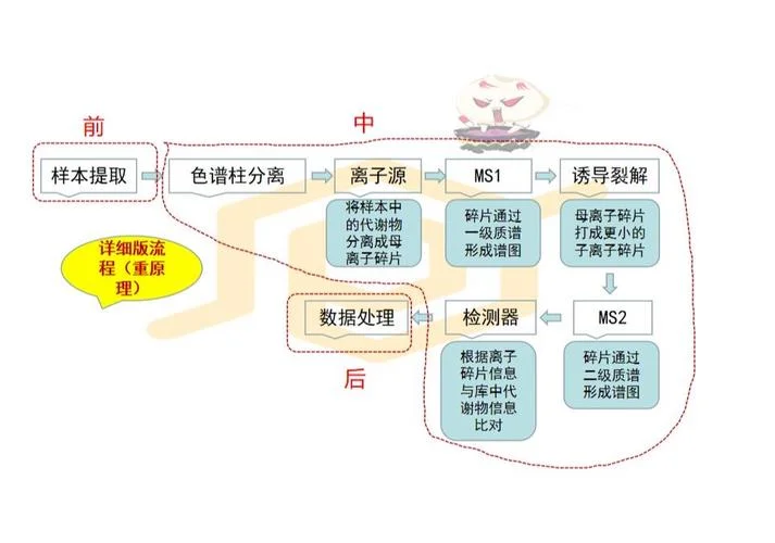 肠道菌群代谢组学怎么联合_2
