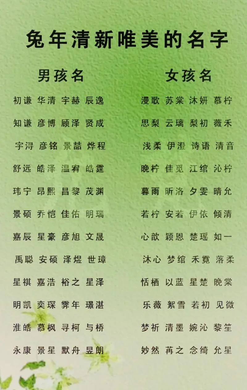 19年男宝起名_2