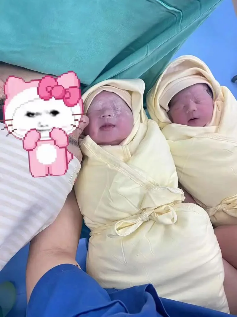 孕妇梦见自己生龙凤胎什么意思-孕妇梦生龙凤胎寓意